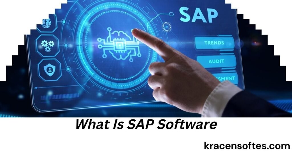 What Is SAP Software