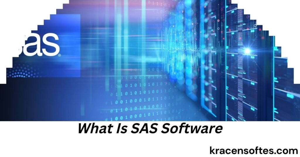 What Is SAS Software
