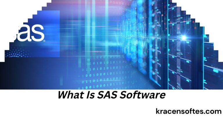 What Is SAS Software