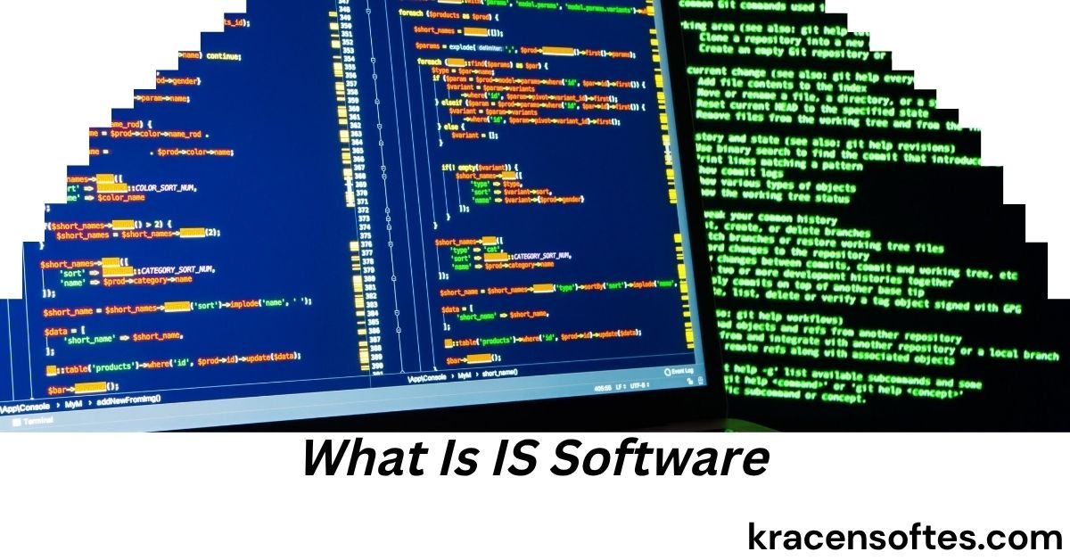 What Is IS Software