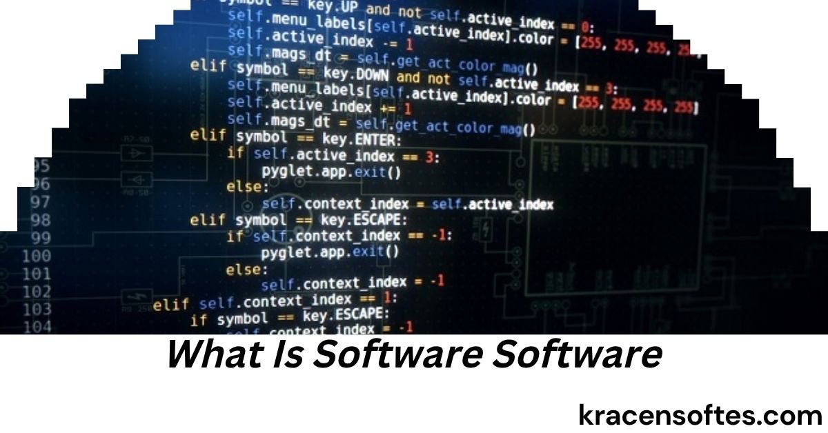What Is Software Software