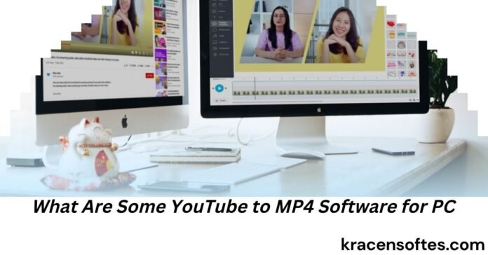 What Are Some YouTube to MP4 Software for PC
