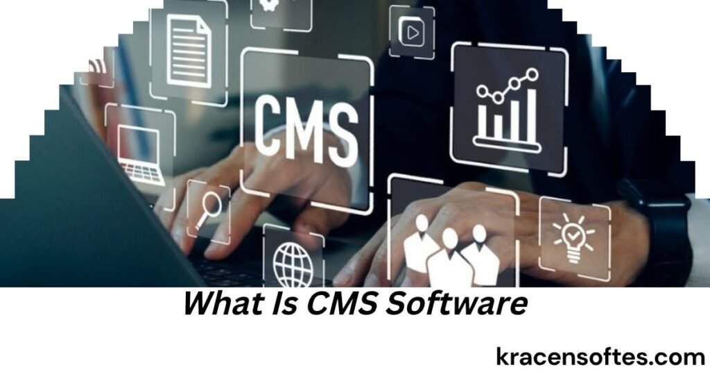 What Is CMS Software
