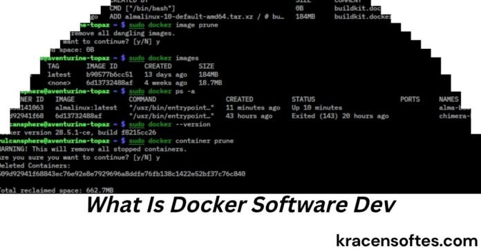 What Is Docker Software Dev