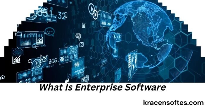What Is Enterprise Software