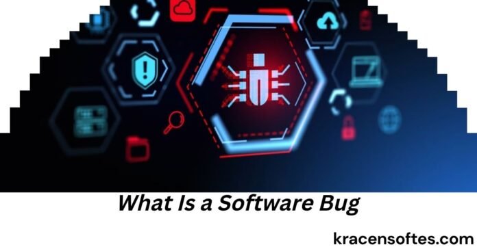 What Is a Software Bug
