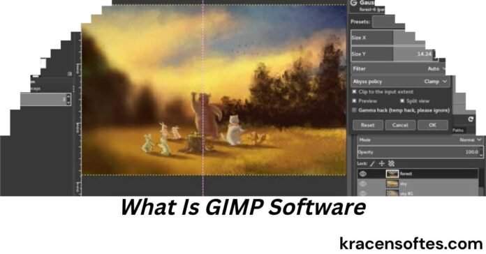 What Is GIMP Software