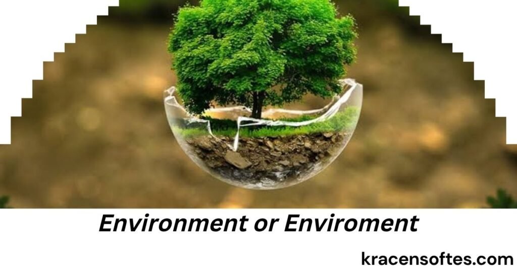 Environment or Enviroment